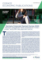 Mini_Germany-corporate-payment-survey-2020_medium
